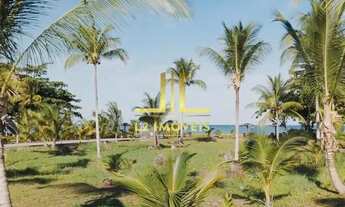 Imagem 5: TERRENO - FRENTE MAR - MORRO DE SÃO PAULO