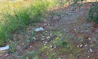 Imagem 5: Lote setor Jaó Área / Terreno à Venda, 387.00 por R$ 420000.00 no setor Jaó AX31417