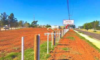 Imagem 3: Terreno Comercial para locação, Parque Ipiranga, Gravataí - TE0163