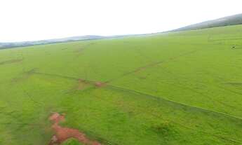 Imagem 6: Fazenda de 165 alqueires a venda em Jandaia-Go