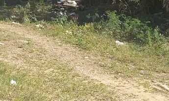 Imagem: Vende-se lote atrás do sonho meu no pedra