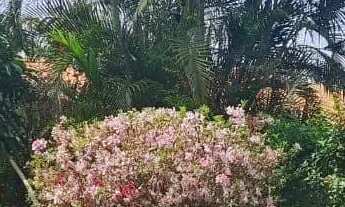 Imagem 4: Casa à venda, Jardim Imperial, Atibaia, SP