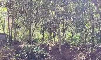 Imagem 5: LINDO LOTE EM ÁREA NOBRE