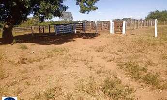 Imagem 3: Fazenda à Venda em Arenópolis - GO | 76 Alqueires