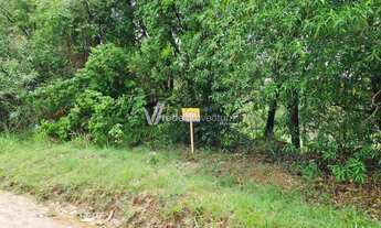 Imagem 5: Terreno - Chácara Santa Margarida - Campinas