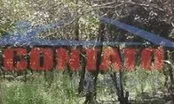 Imagem 4: Venda de Casas / Padrão na cidade de São Carlos