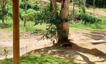Imagem 5: Vendo linda chácara em todos os santos Guarapari