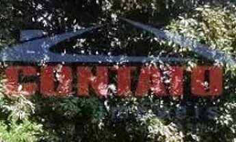 Imagem 5: Venda de Casas / Padrão na cidade de São Carlos