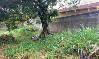Imagem 3: TERRENO - JARDIM DOS PINHEIROS - SP