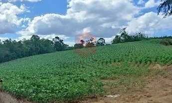 Imagem 5: Chácara/Área - Retiro Grande - Campo Largo - PR