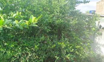 Imagem 2: Vende-se terreno