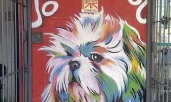 Imagem 4: COMERCIAL - VILA BUTANTÃ - SP