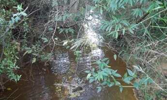 Imagem 7: Lindas fazendinhas de 20 mil metros,a 45 km da cidade administrativa * WhtsAPp