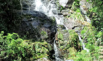 Imagem 3: Sítio com 5 Cachoeiras