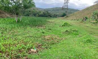 Imagem 7: Fazendinha - região nobre entre Cordeiro e Macuco