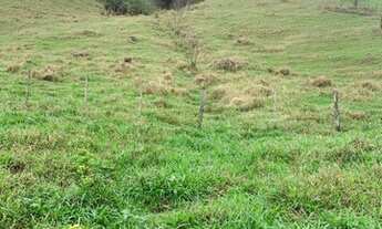 Imagem 4: Fazendinha - região nobre entre Cordeiro e Macuco