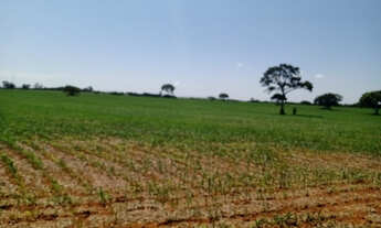 Imagem 2: Fazenda 52 Hectares em Martinho Campos