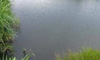 Imagem 7: Santo Antonio do Descoberto - GO