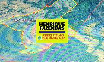 Imagem 2: Fazenda em Bandeirantes Tocantins pecuária