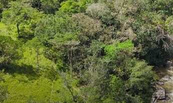 Imagem 7: Fazenda/Sítio/Chácara para venda tem metros quadrados com 3 quartos
