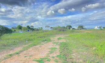 Imagem 2: Vendo área Fazenda / sítio com venda por R$20.000