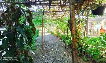 Imagem 4: Chácara com 6.000m² - Taquara, RS