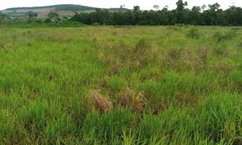 Imagem 4: $ vendo terreno na regiao de domingos martins