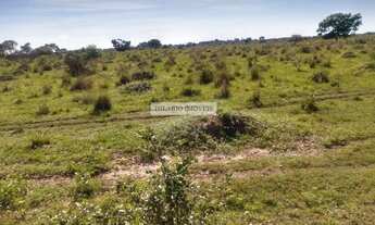 Imagem 5: Fazenda para Venda em Corumbá, Centro
