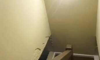 Imagem 4: São Paulo - Casa Padrão - Cambuci