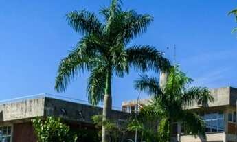 Imagem 4: Lote para venda possui 509 metros quadrados em Jardins Lisboa - Goiânia - GO