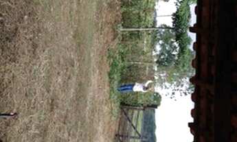 Imagem 4: Sitio em ibiraci 1 alqueire 350.000.00 ( leo