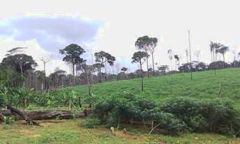 Imagem 3: Vendo terra! Fazenda / sítio com venda por R$400.000