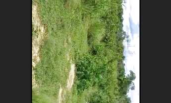 Imagem 7: Vendo terra! Fazenda / sítio com venda por R$400.000