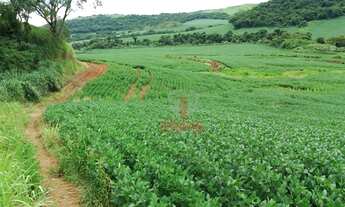 Imagem 6: Fazenda à venda, 2819300 m² por R$ 36.000.000,00 - Vila Formosa - Apucarana/PR