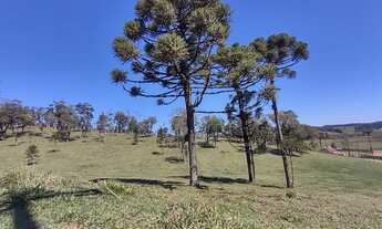 Imagem: Terreno Rural com 60500 m² em São Bento
