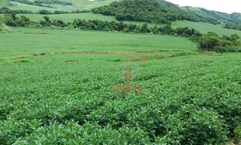 Imagem 3: Fazenda à venda, 2819300 m² por R$ 36.000.000,00 - Vila Formosa - Apucarana/PR