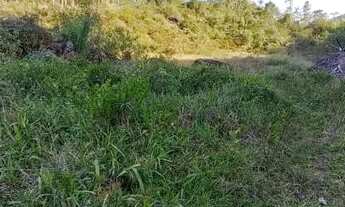 Imagem 3: Sítio em São Pedro de Alcântara/SC 20.000,00m² (com escritura