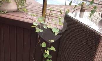 Imagem 6: Cobertura Bairro Cristal