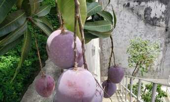 Imagem 7: CASA DE CONDOMINIO RIO DE JANEIRO FREGUESIA
