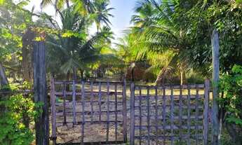 Imagem 3: Terreno para venda em Barra do Itariri - Conde - BA