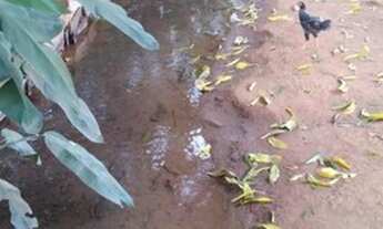 Imagem 5: Chacara residencial triunfo III goianira go