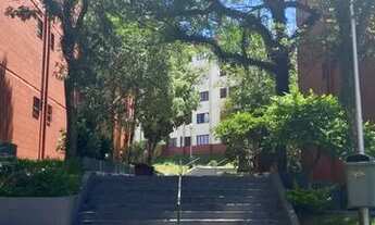 Imagem 3: Vendo apartamento 2 dormitórios