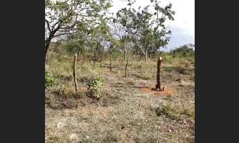 Imagem 2: Lote em São João da lagoa