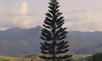 Imagem 7: Casa de condomínio 290 m2 com 4 quartos Itaipava Petrópolis RJ