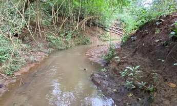 Imagem 4: Chácaras a venda em damolandia ha 50 km de Goiânia !