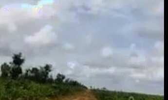 Imagem 7: FAZENDA À VENDA EM SANTA MARIA DAS BARREIRAS-PA-2.094 HEC. (DUPLA APTIDÃO