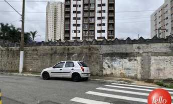 Imagem 3: São Paulo - Terreno Padrão - Tatuapé