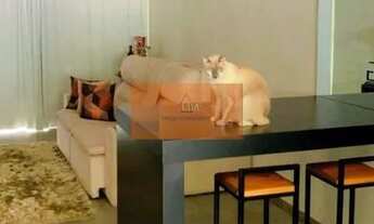 Imagem 2: Casa em Engenho do Mato - Niterói