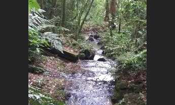 Imagem 3: Sitio em leoberto leal 90 km de floripa