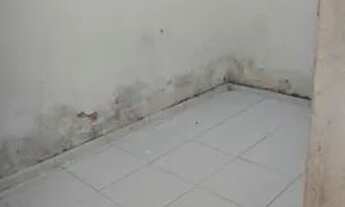 Imagem 4: Vendo Casa Casa com 2 dormitórios